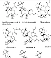 Jundishapur J Nat Pharm Prod
